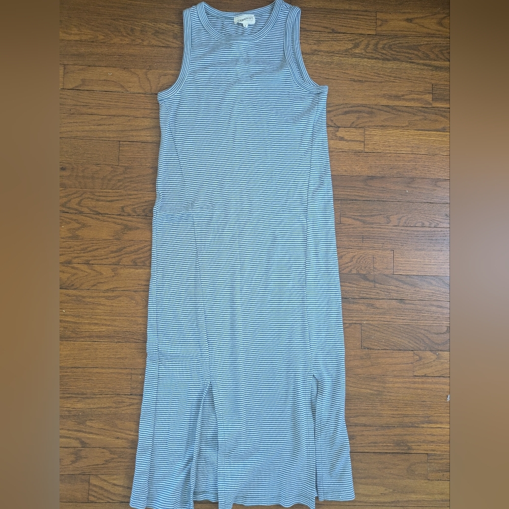 Synergy Organic Clothing Blue and White Striped Dress S